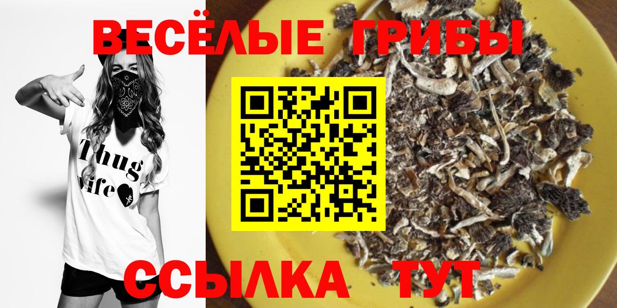 Галлюциногенные грибы мухоморы Калуга