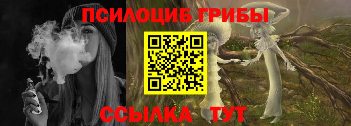 Псилоцибиновые грибы мицелий  Вход с VPN  Калуга 